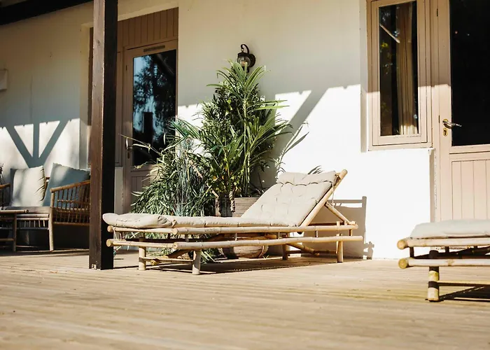 The Falcon Hotel 阿灵厄照片