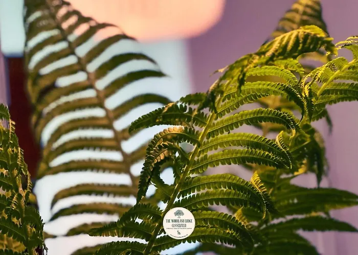 foto di The Woodland Lodge Gisselfeld Haslev