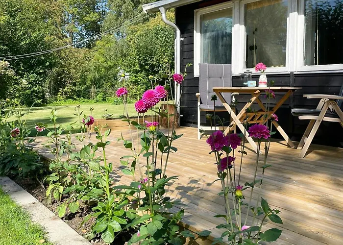 صورة Cozy Summer Cottage On Picturesque Asko