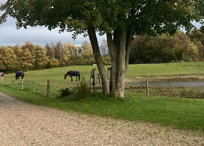 Garden Apartment Sonder Felding photo